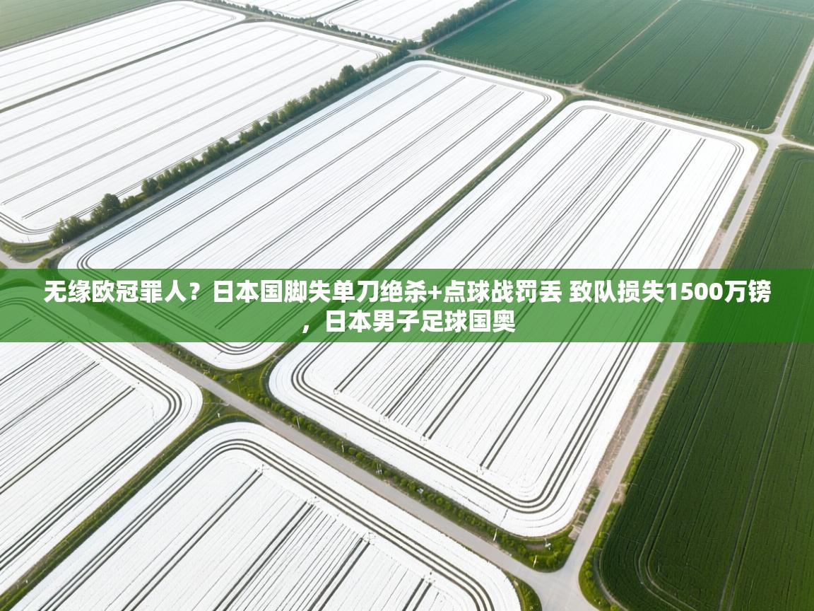 开云体育赛程表查询-无缘欧冠罪人?日本国脚失单刀绝杀+点球战罚丢 致队损失1500万镑,日本男子足球国奥 第3张