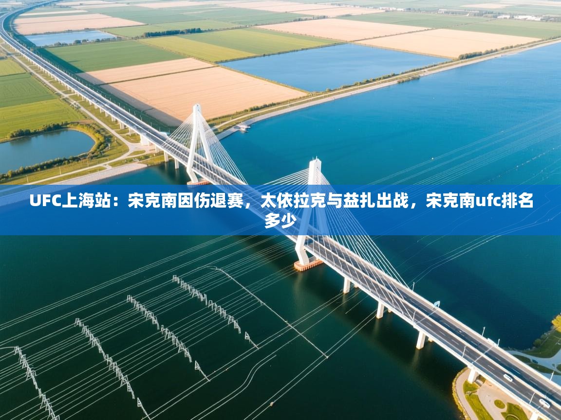 开云体育在线网址-UFC上海站:宋克南因伤退赛,太依拉克与益扎出战,宋克南ufc排名多少 第1张