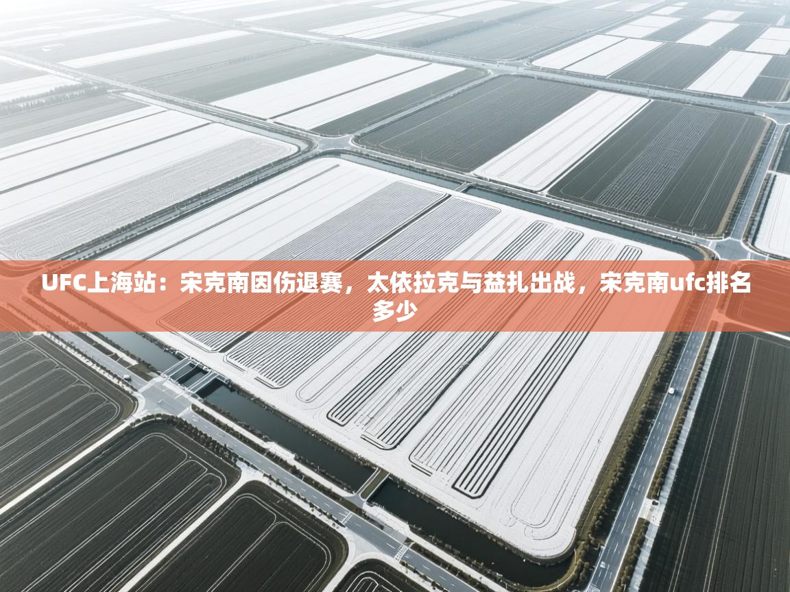 开云体育在线网址-UFC上海站:宋克南因伤退赛,太依拉克与益扎出战,宋克南ufc排名多少 第3张