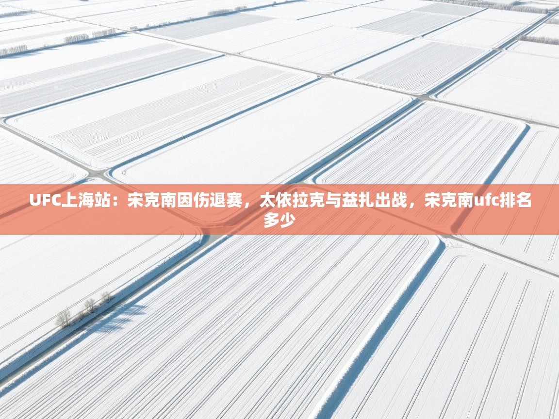 开云体育在线网址-UFC上海站:宋克南因伤退赛,太依拉克与益扎出战,宋克南ufc排名多少 第4张