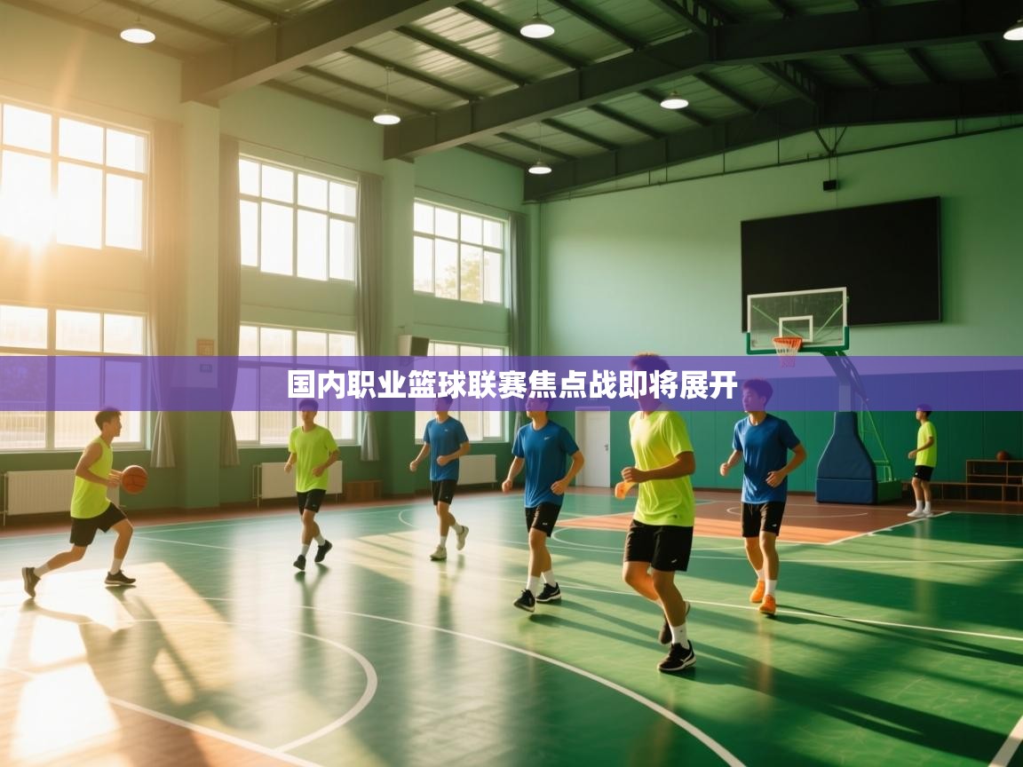 kaiyun开运·体育官方网站-国内职业篮球联赛焦点战即将展开  第3张