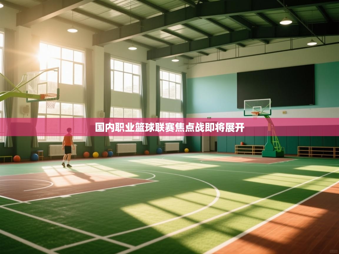 kaiyun开运·体育官方网站-国内职业篮球联赛焦点战即将展开  第4张