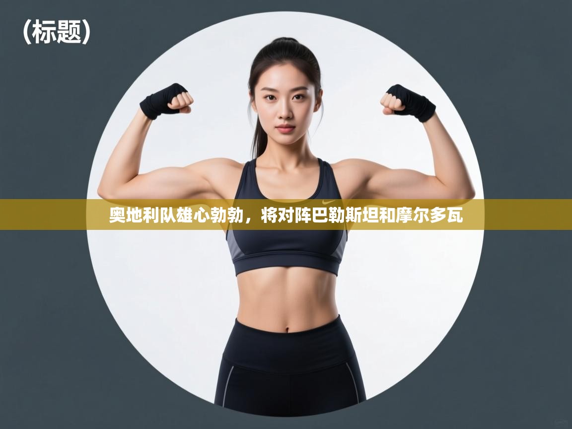 开云体育消息订阅关闭-奥地利队雄心勃勃，将对阵巴勒斯坦和摩尔多瓦  第2张